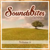 Soundsbites from ADN, Vol. 8, 2017