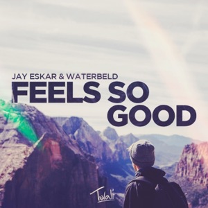 Feels So Good - Single