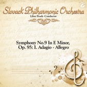 Symphony No.9 In E Minor, Op. 95: I. Adagio - Allegro artwork