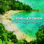 Chilled Ibiza Party Sensations: Relaxing Night on the Beach, Time in Summer Club, Deep House on the Island, Chill Session Hits artwork