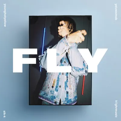 FLY (with GroovyRoom) - Single - Sik-K