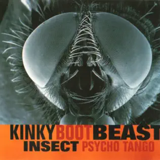 télécharger l'album Kinky Boot Beast - Insect Psycho Tango