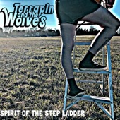 Terrapin and the Wolves - Modern Day Otto Rocket