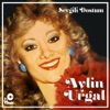 Sevgili Dostum - Single, 1978