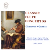 Quantz: Flute Concerto in G Minor, QV 5:196: III. Presto artwork