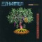 Agua Azul - The Shamen lyrics