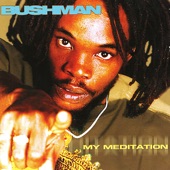 Bushman - What You Gonna Do