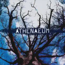 Athenaeum - Athenaeum