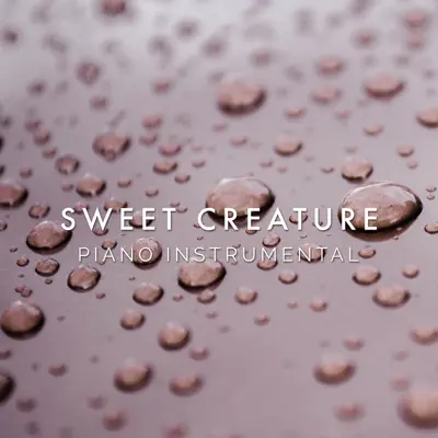 Sweet Creature (Piano Rendition) - Single - The Blue Notes