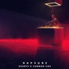 Rapture - Single