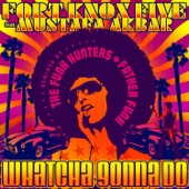 Fort Knox Five - Whatcha Gonna Do