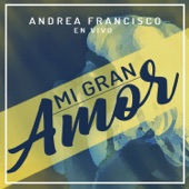 Mi Gran Amor (En Vivo) artwork