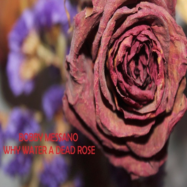 a dead rose analysis The walking dead season 2 episode 4 cherokee rose - reaction reaction / analysis inside episode 204 the walking dead: cherokee rose. a dead rose analysis The walking dead season 2 episode 4 cherokee rose - reaction reaction / analysis inside episode 204 the walking dead: cherokee rose.