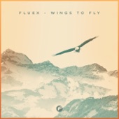 Wings To Fly (Radio Edit) artwork