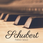 Schubert: Piano Solo artwork