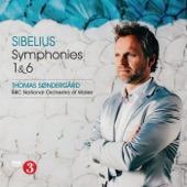 Sibelius: Symphonies 1 & 6 artwork