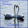 Sommardröm - Single