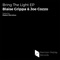 Bring the Light (feat. Madam Marvelous) - Blaise Grippa & Joe Cozzo lyrics