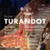 Turandot, Act I: Figlio, che fai? (Live) song reviews