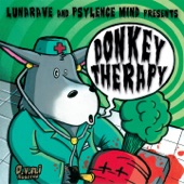 Donkey Therapy artwork