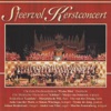 Sfeervol Kerstconcert (feat. Martin Zonneberg)