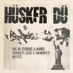 In a Free Land - Single by Hüsker Dü album reviews, ratings, credits
