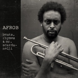 Afrob - Ich mag an Dir (Acoustic)