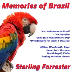 Lembranças Do Brasil, Op. 36: X. Encantado Song Lyrics