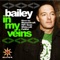 In My Veins (Hifi Sean Dub) - Bailey lyrics