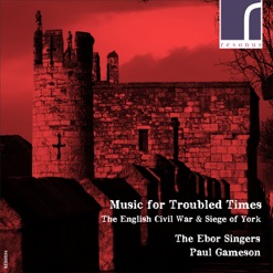 MUSIC FOR TROUBLED TIMES cover art