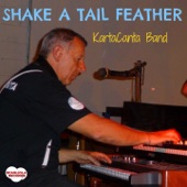 Shake a Tail Feather artwork