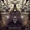 Quantum Shaman album lyrics, reviews, download