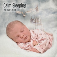 Calm Sleeping Newborn: New Age Soothing Sounds and Music Box for Infant, Help to Sleep Baby Well, Quiet Ocean Sounds & Bedtime Loops