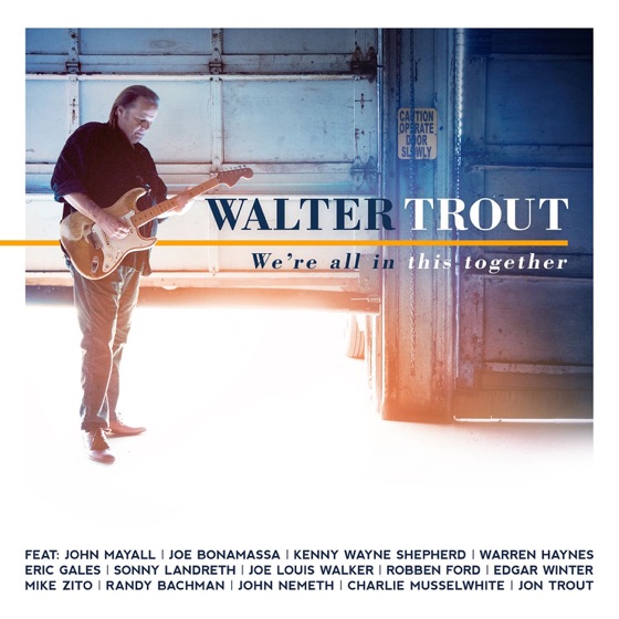 Cover artwork for Gonna Hurt Like Hell (feat. Kenny Wayne Shepherd)
