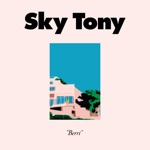 Sky Tony - Palm Desert