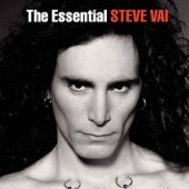 The Essential Steve Vai artwork