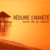 Réduire l'Anxiété - Oasis de paix avec sons de la nature, musique pour dormir