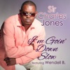I'm Going Down Slow (feat. Wendell B) - Single