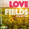 Lovefields Collection, Vol. 1 - Selection of Dance Music