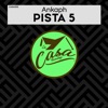 Pista 5