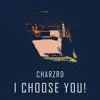 I Choose You! song lyrics