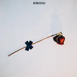 Wrong - Single - Ally Hills