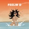 Feelin U (feat. Demarco, Doctor, Ras Kwame) artwork