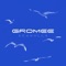 Seagulls - Gromee lyrics