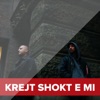 Krejt Shokt E Mi (feat. Lumi B) - Single