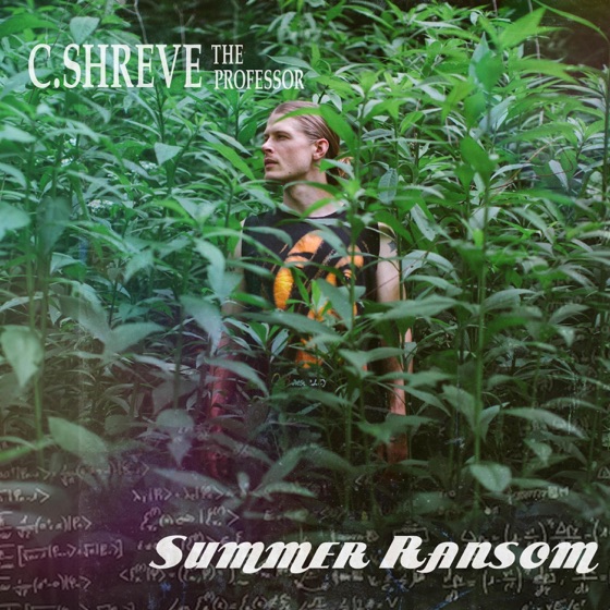 Cover artwork for Swordsman