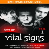 Very Best of Vital Signs, Vol. 1 artwork