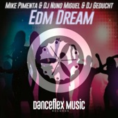 Impact Dream (Orginal Mix) artwork