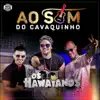 Ao Som do Cavaquinho - Single album lyrics, reviews, download