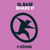 Shake It - Single